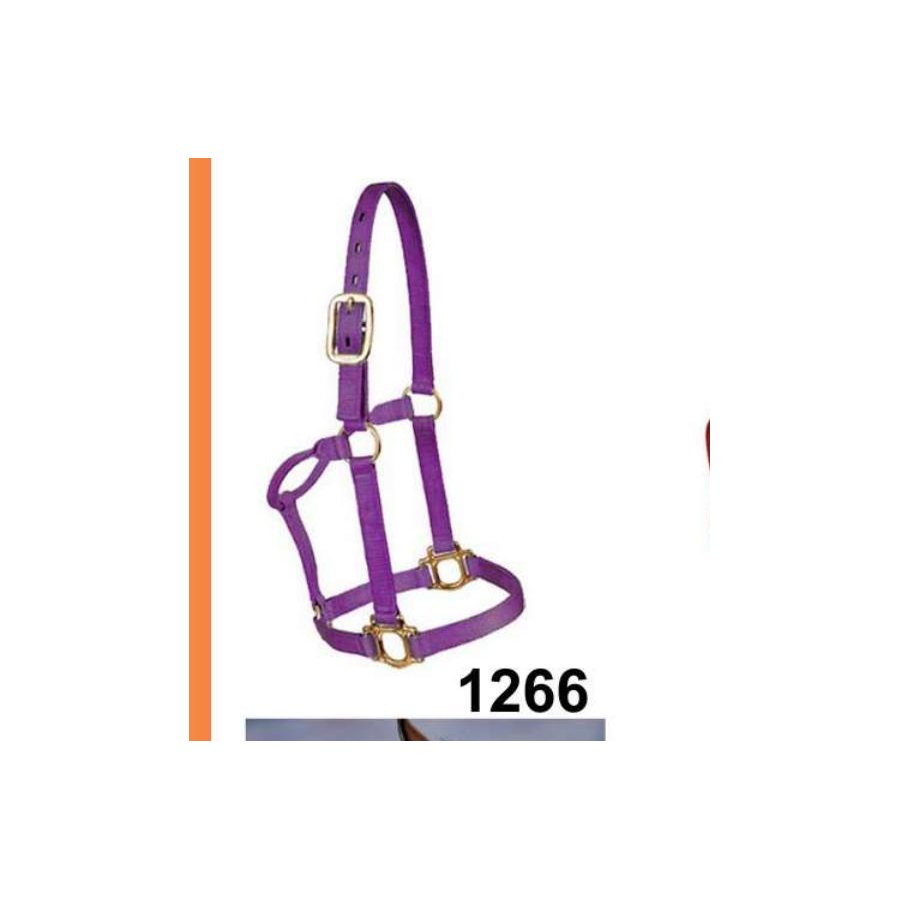 Halters and Bridles - Style 1266