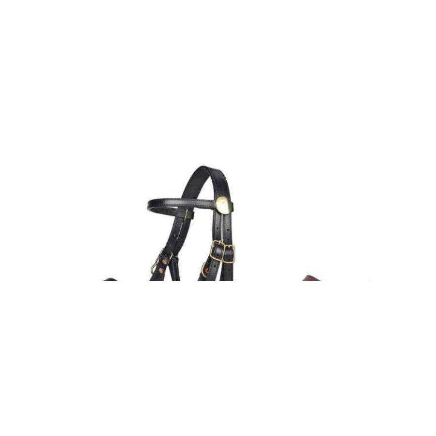 Halters and Bridles - Style 1269