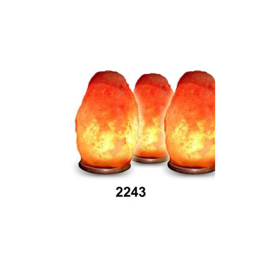 Salt Products - Style 2243
